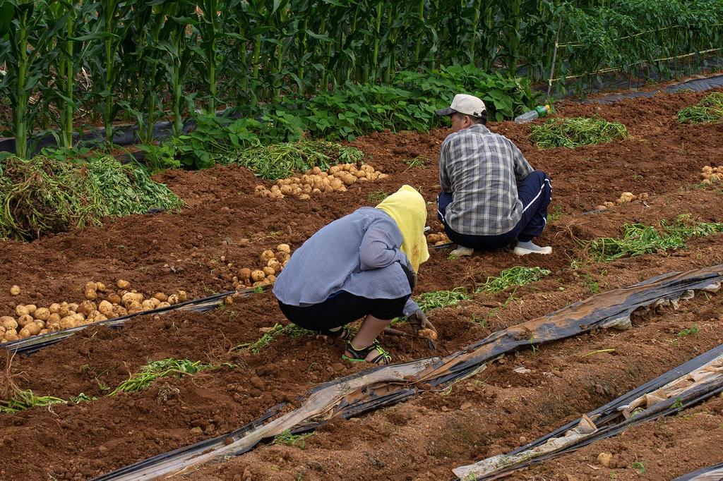Cover of Farming with Soil by Paul Charney