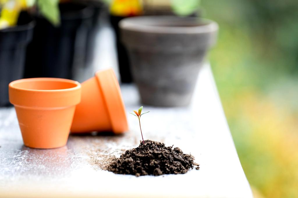 Photo of Dr. Emma Clayton, Soil Health Expert