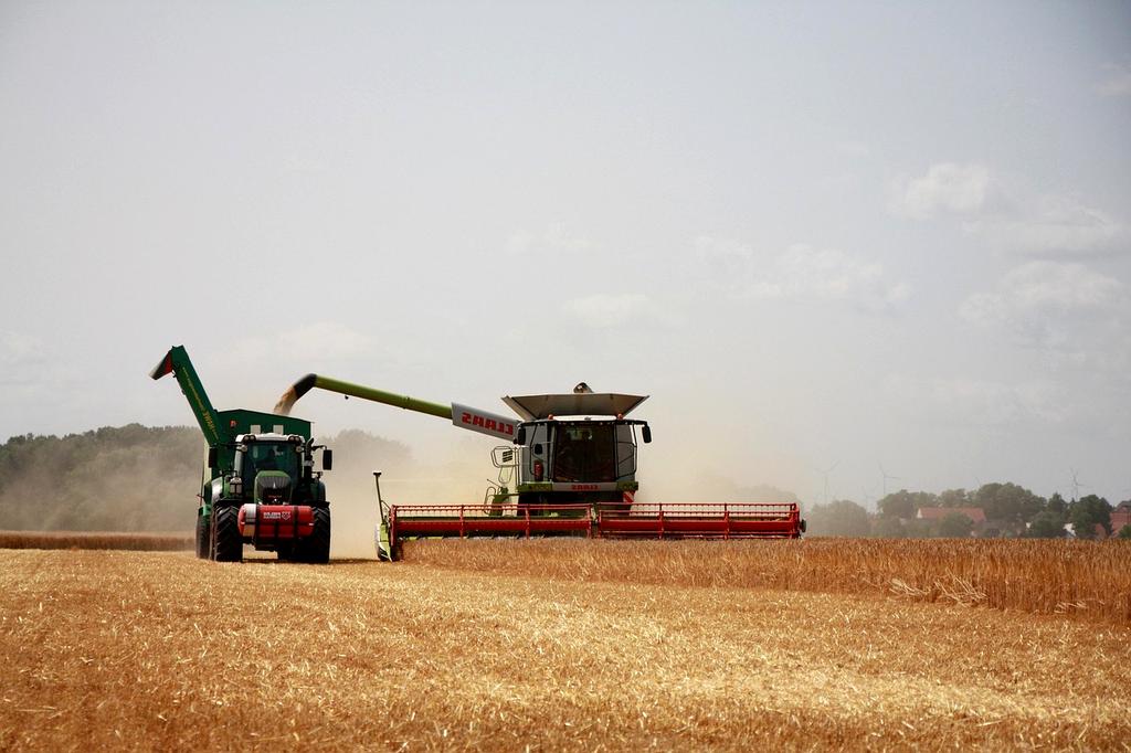 Cover crops growing in agricultural field